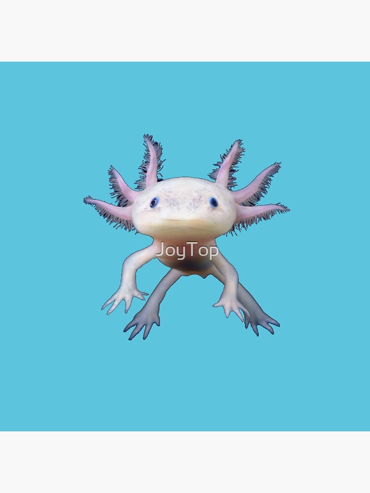 Blue Axolotl Double Sided Acrylic Charm