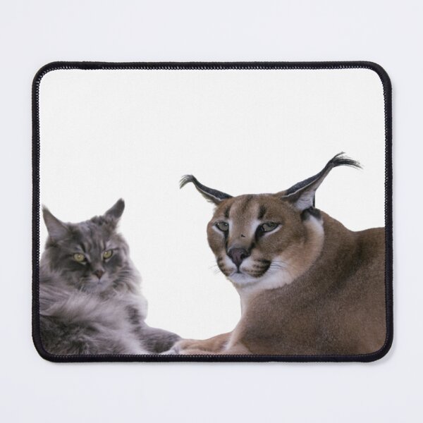 Item preview, Floppa with Friend designed and sold by MemeDealer3.