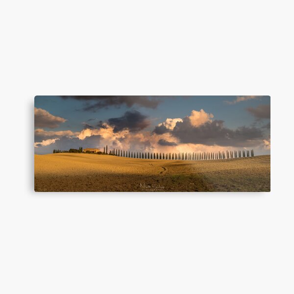 poggio covili Metal Print