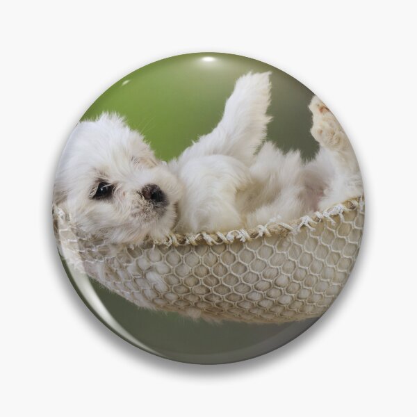 Item preview, Cute Adorable Teddy Bear Puppy Dog in a Hammoc designed and sold by ScienceSource.