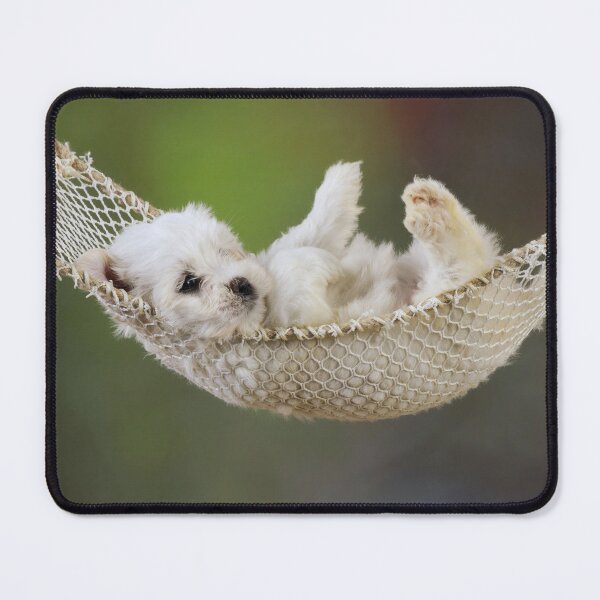 Item preview, Cute Adorable Teddy Bear Puppy Dog in a Hammoc designed and sold by ScienceSource.