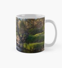 Bells Rapids Western Australia Mug