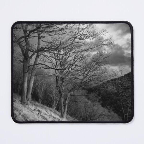 Item preview, Winter Trees Infrared designed and sold by Craig Joiner.