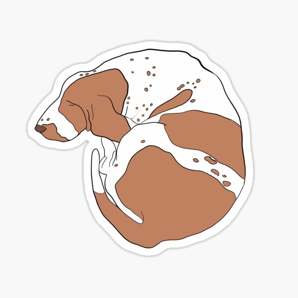 Basset Hound Sticker