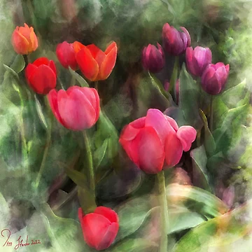 Artwork thumbnail, Spring Prevails by Timstarstudio