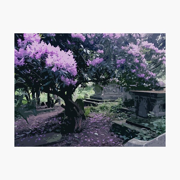 Blossoming Graveyard Photographic Print