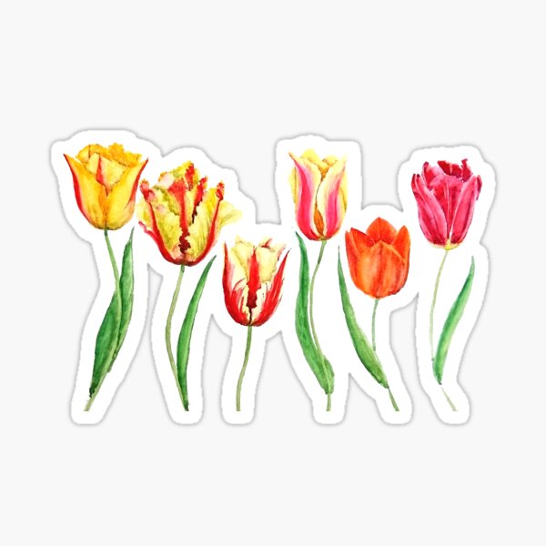 Item preview, hand painted colorful tulips flower watercolor painting  designed and sold by ColorandColor.