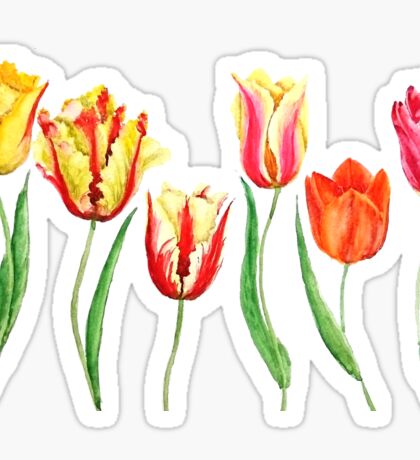 Tulip: Stickers | Redbubble