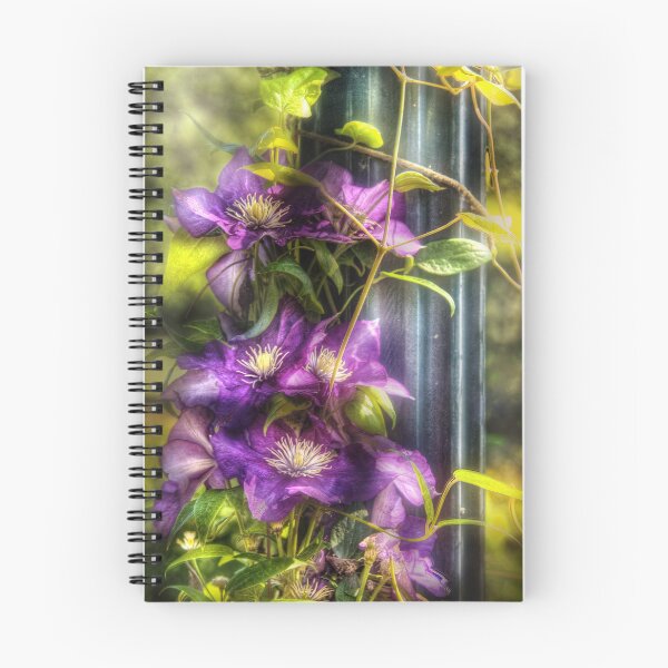 Item preview, Clematis designed and sold by Mike Savad Photography.