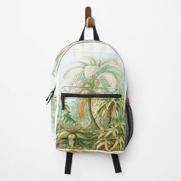 Item preview, Primitive ferns - Botanical Illustration designed and sold by chimakingthings.