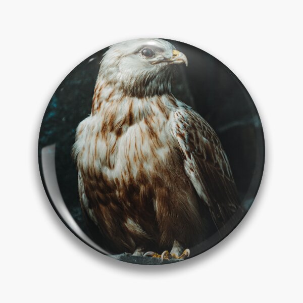 Item preview, Eagle bird  designed and sold by BestDesign87.