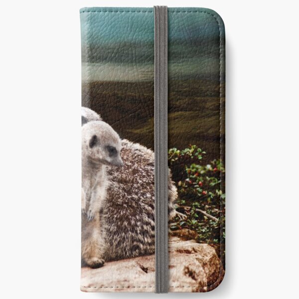 Always alert iPhone Wallet