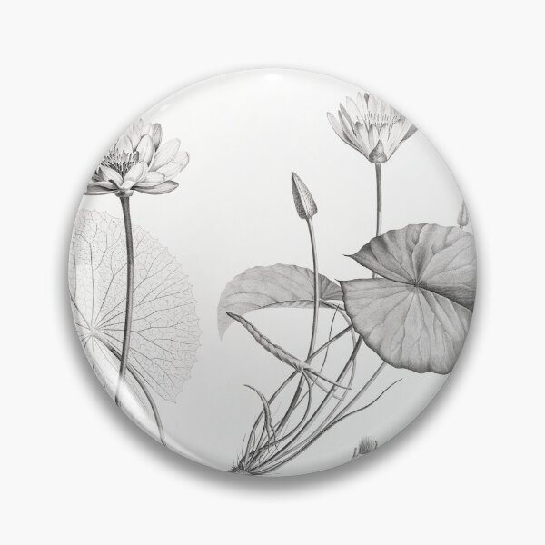 Item preview, Egyptian lotus and White Egyptian lotus - Botanical Illustration designed and sold by chimakingthings.