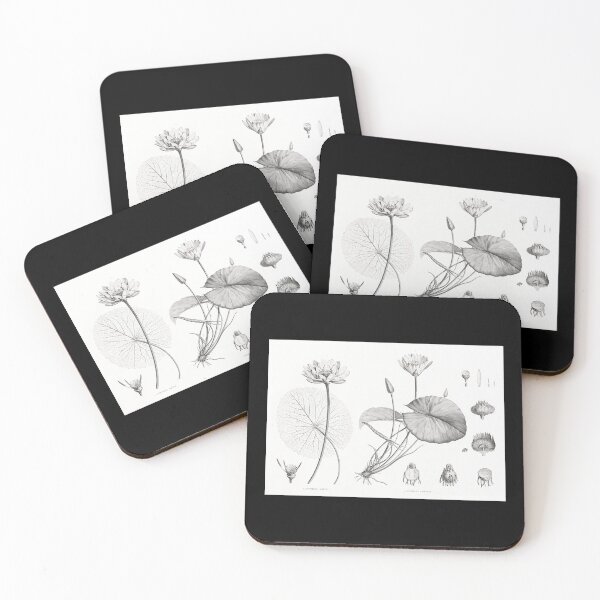 Item preview, Egyptian lotus and White Egyptian lotus - Botanical Illustration designed and sold by chimakingthings.