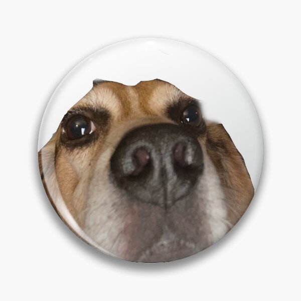 Item preview, Jasper the beagle designed and sold by Alex Pizzaia.