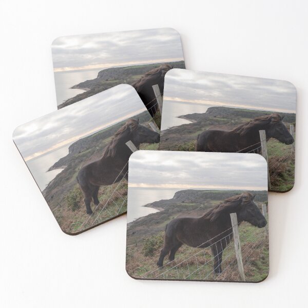 Item preview, Exmoor Pony on Fairlight Hills. designed and sold by GingerMan2550.