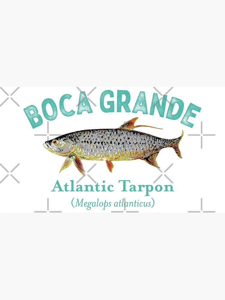 Boca Grande, Florida - Tarpon Fishing Tours Vintage Sign - Lantern Press Artwork (12x18 Art Print, Wall Decor Travel Poster), Size: 12 x 18