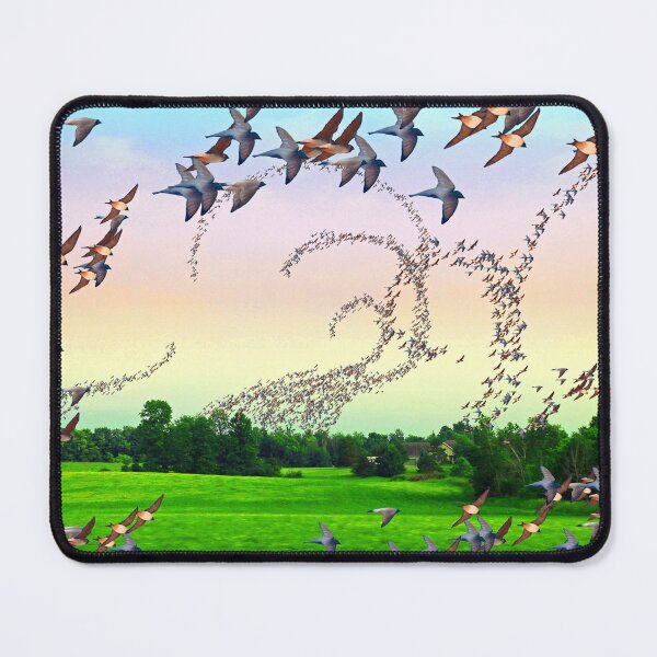 Item preview, Flight paths designed and sold by John Stuart Webbstock.