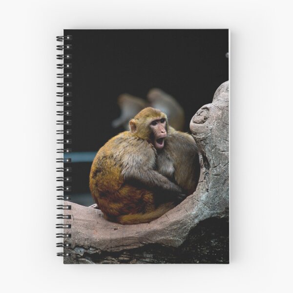 Item preview, Monkey happy family  designed and sold by Srdjan Petrovic.