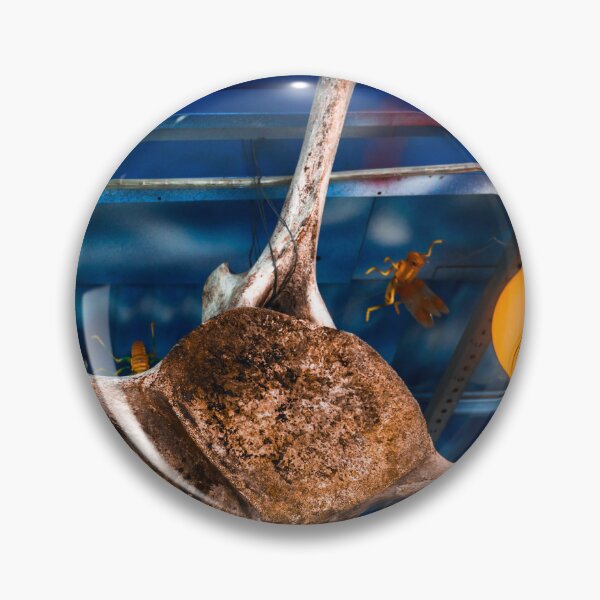 Item preview, sculpture and trinkets 3. designed and sold by Nino rocha fotografia.