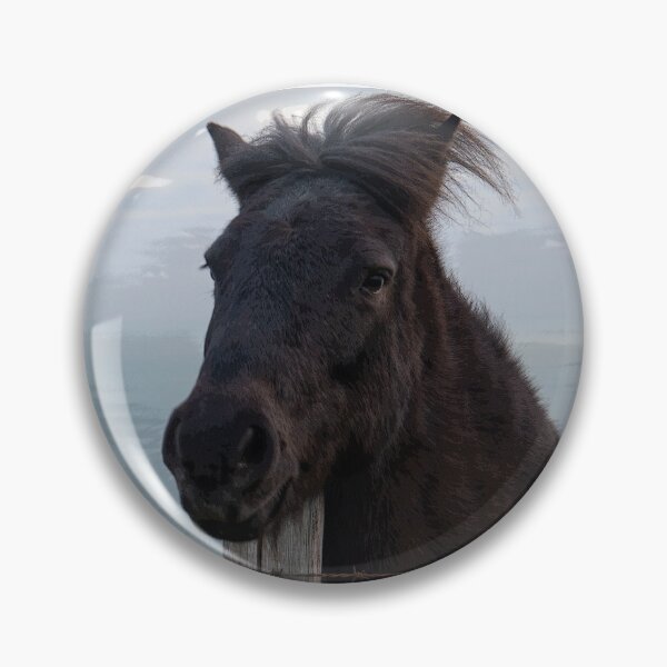 Artikelvorschau, Freundliches Pony. entworfen und verkauft von GingerMan2550.