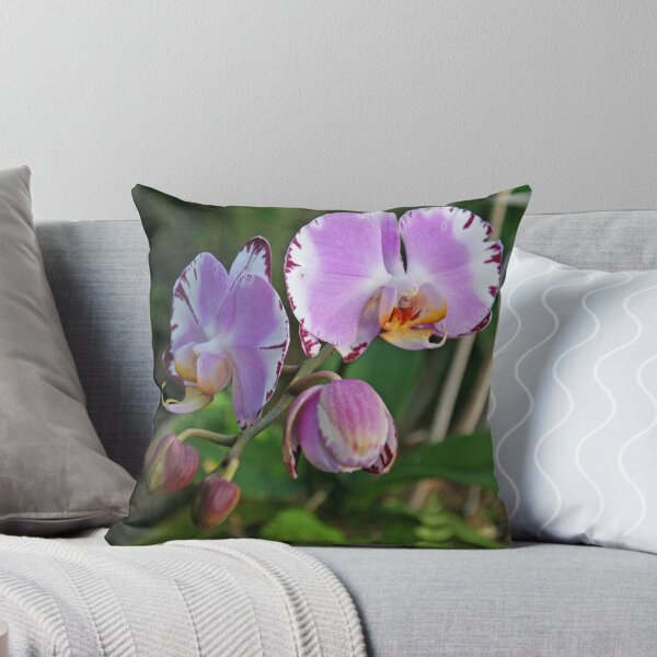 Item preview, Orchids designed and sold by PawPrintArtist.