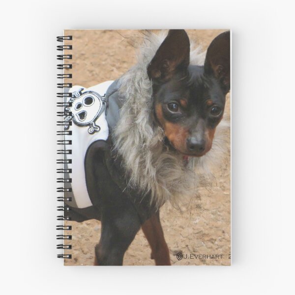 Item preview, Vinnie with Winter Coat designed and sold by Julie Everhart.