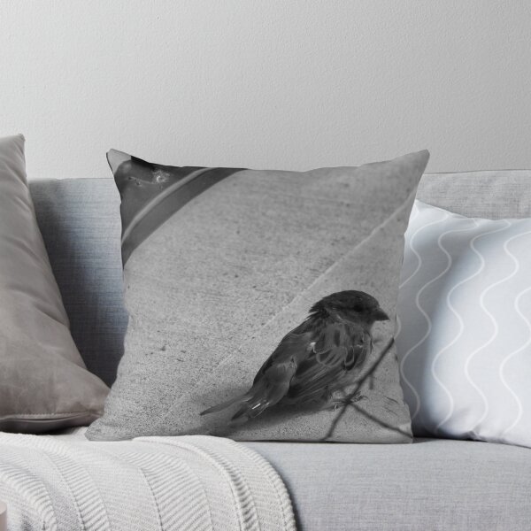 Item preview, Birb designed and sold by claireture.