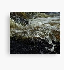 white-water Canvas Print