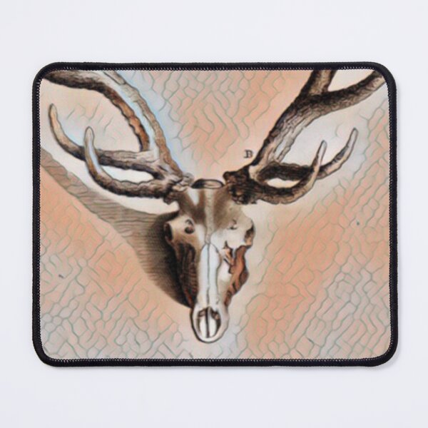 Item preview, Antlers and skull designed and sold by jmacnairart.