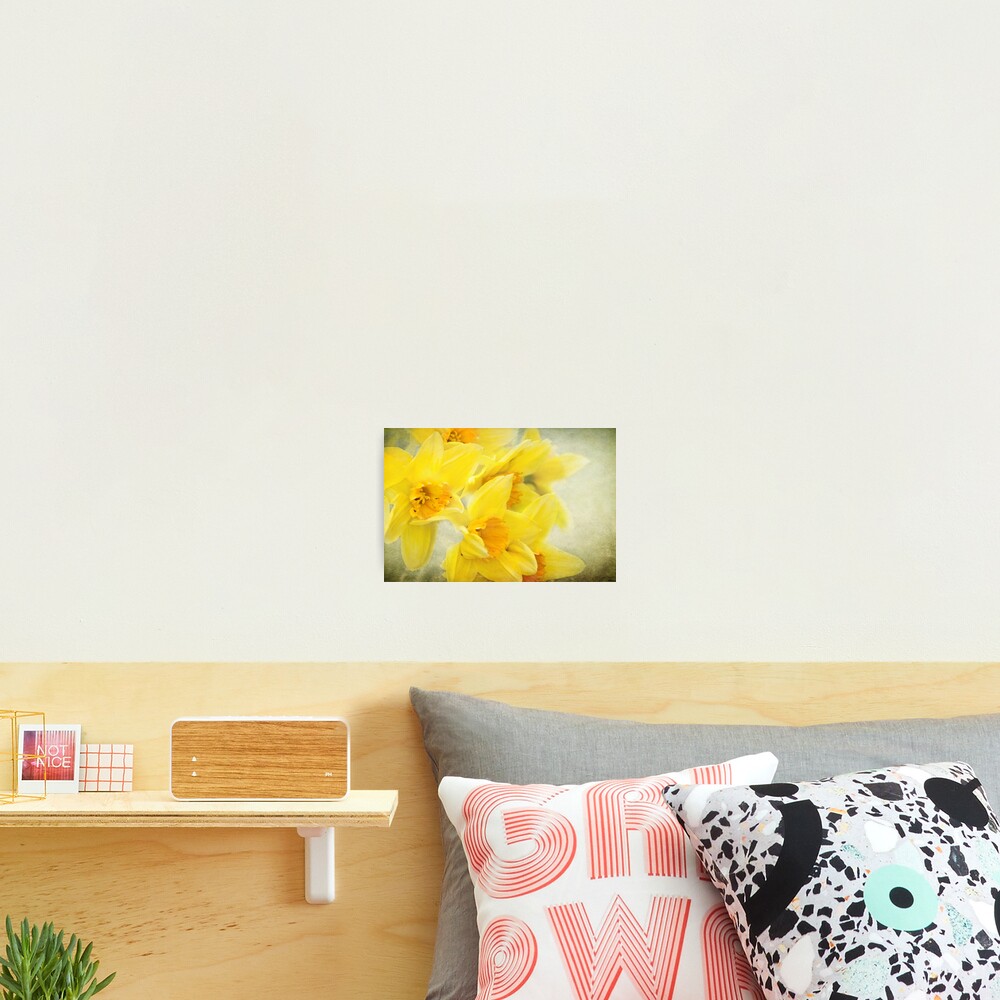 Item preview, Photographic Print designed and sold by Lissywitch.