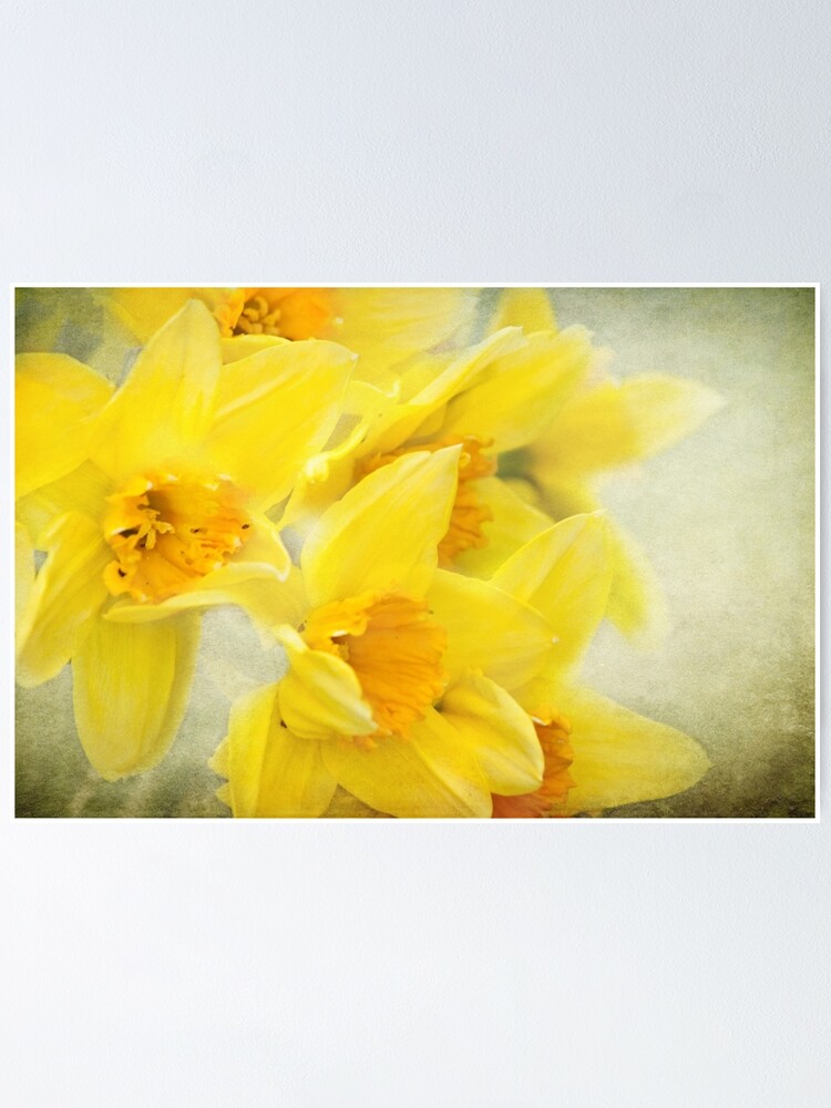 Thumbnail 1 of 3, Poster, Spring gold designed and sold by Lissywitch.