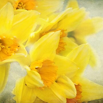 Artwork thumbnail, Spring gold by Lissywitch
