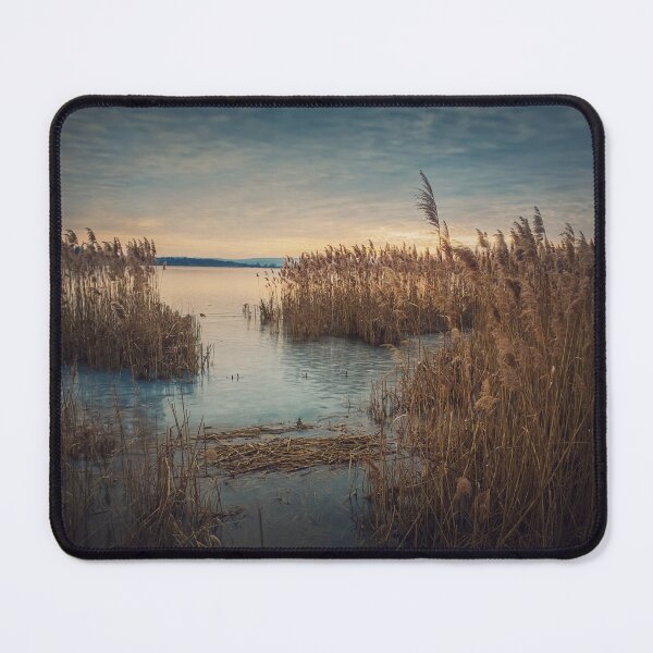 Item preview, Dry reed in the frozen lake designed and sold by psychoshadow.