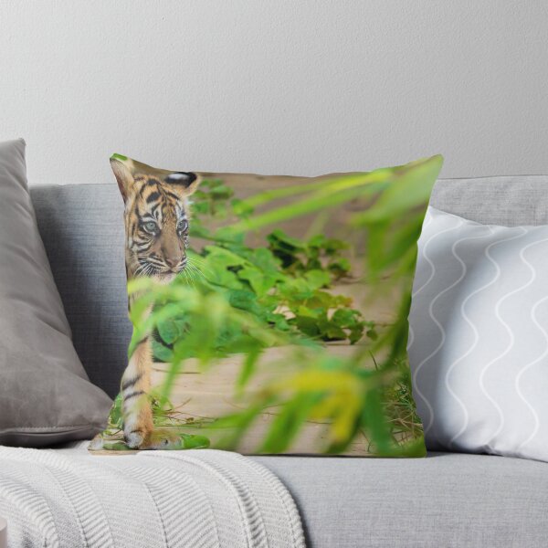 Item preview, A baby tiger peeks through the brush designed and sold by noblephoto.