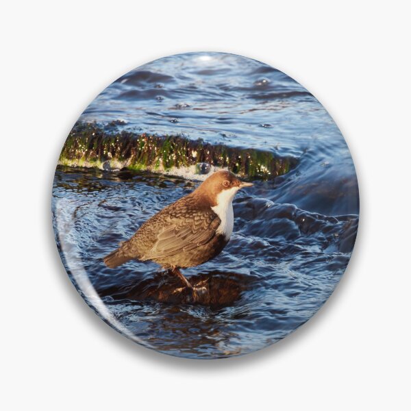 Item preview, Stream of life. White-throated dipper designed and sold by Jouko Lehto Photography.