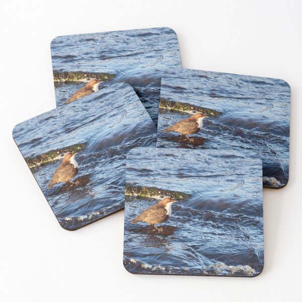 Item preview, Stream of life. White-throated dipper designed and sold by Jouko Lehto Photography.
