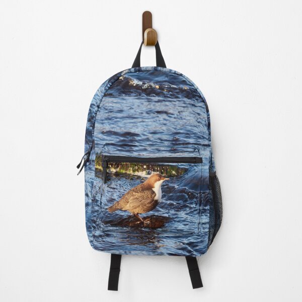 Item preview, Stream of life. White-throated dipper designed and sold by Jouko Lehto Photography.