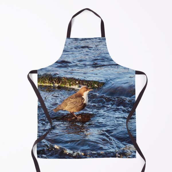 Item preview, Stream of life. White-throated dipper designed and sold by Jouko Lehto Photography.