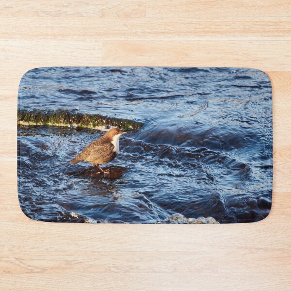 Item preview, Stream of life. White-throated dipper designed and sold by Jouko Lehto Photography.
