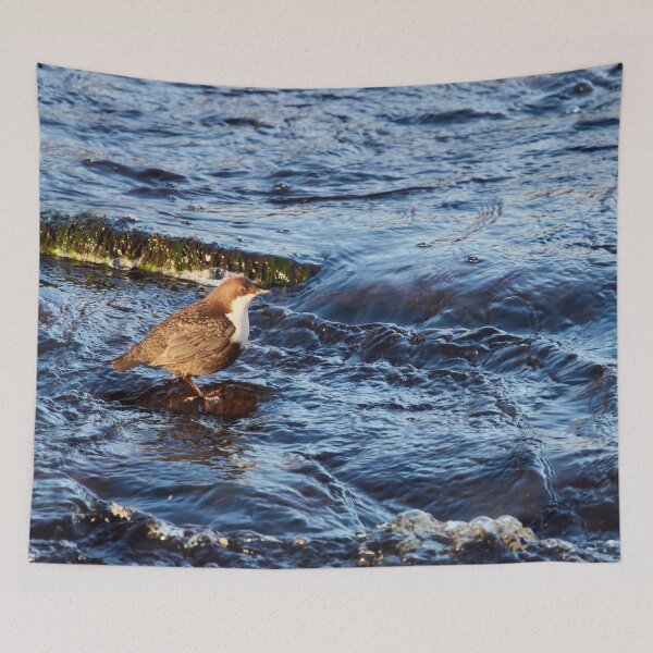 Item preview, Stream of life. White-throated dipper designed and sold by Jouko Lehto Photography.