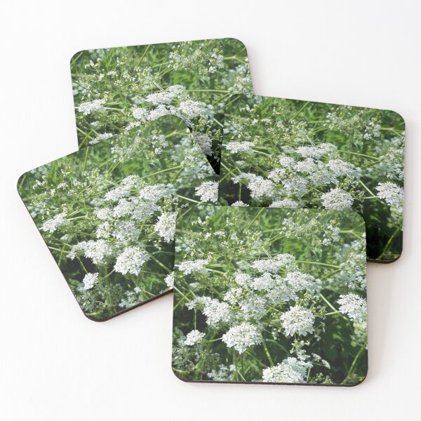 Item preview, Queen Anne's Lace  designed and sold by amanda150771.