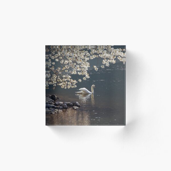 Swan & Blossom Acrylic Block