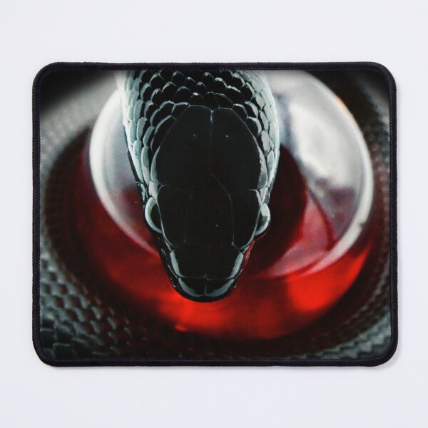 Item preview, Mexican Black King Snake Portrait Print designed and sold by Creatures of Nightshade.