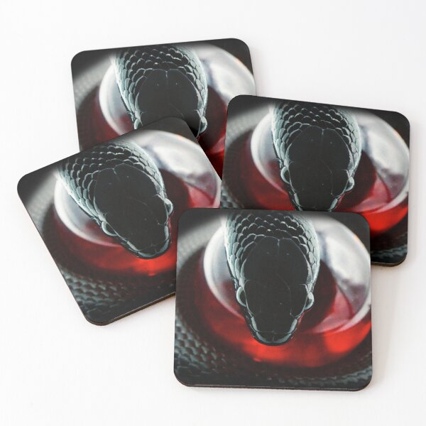 Item preview, Mexican Black King Snake Portrait Print designed and sold by Creatures of Nightshade.