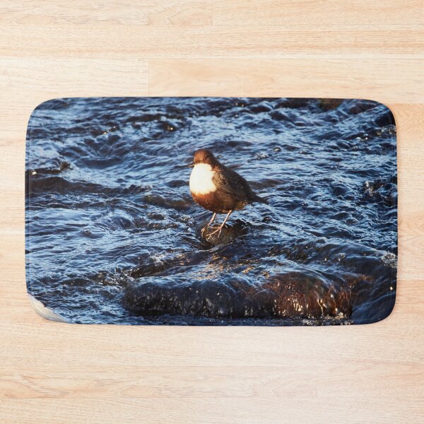 Item preview, Awaken. White-throated dipper designed and sold by Jouko Lehto Photography.