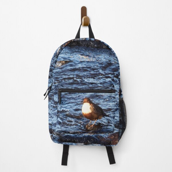 Item preview, Awaken. White-throated dipper designed and sold by Jouko Lehto Photography.