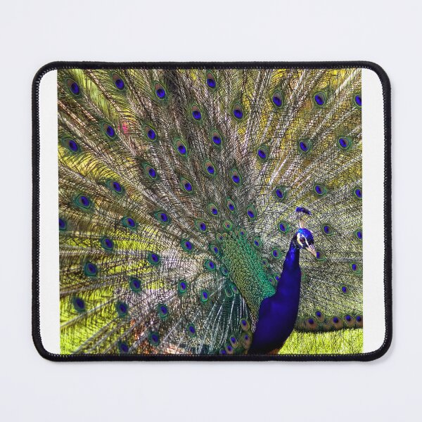 Item preview, Close View designed and sold by paolo1955.
