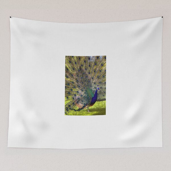 Item preview, Close View designed and sold by paolo1955.