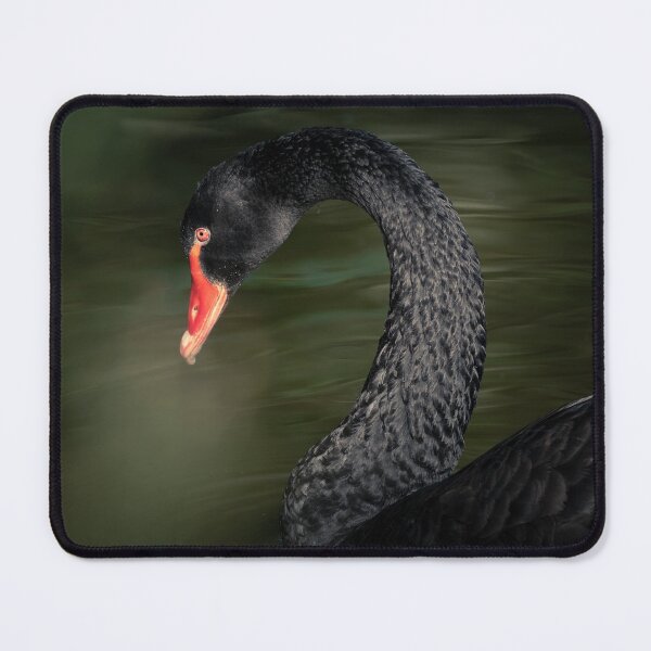 Item preview, BLACK SWAN designed and sold by Andrew Hocking.